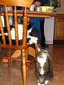 Harry and Minty 2004-01